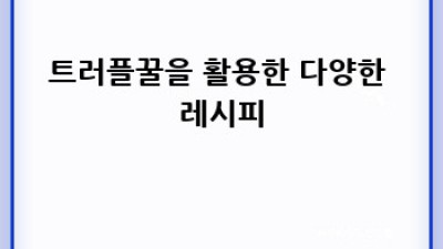 트러플꿀의 모든 것: 효능, 가격, 레시피까지 완벽 가이드