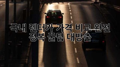 🚗 국내 렌터카 가격 비교 완전 정복! 꿀팁 대방출 🍯